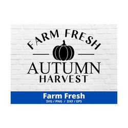 Farm Fresh Sign SVG, Farm Fresh Harvest SVG, Farm Fresh Svg, Farmers Market Svg, Pumpkins Svg, Fall Sign Svg, Fall Svg,A