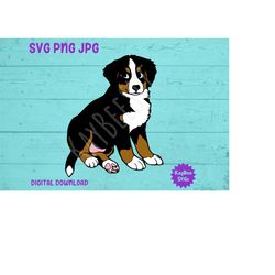 Bernese Mountain Dog Puppy SVG PNG JPG Clipart Digital Cut File Download for Cricut Silhouette Sublimation Printable Art