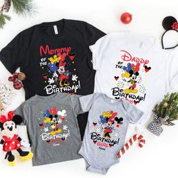 Disney Birthday Girl and Boy Shirt, Personalized Disney Birthday Shirt, Disney Birthday Trip Shirt, Family Birthday Girl