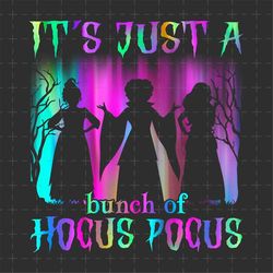 Witch Halloween Png, Trick Or Treat Png, Spooky Vibes, Witch Png, Fall Png, Bad Witches Club Png, Villains Wicked Png, H