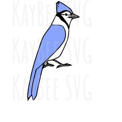 Blue Jay Bird SVG PNG JPG Clipart Digital Cut File Download for Cricut Silhouette Sublimation Printable Art - Personal U