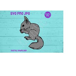 Chinchilla SVG PNG JPG Clipart Digital Cut File Download for Cricut Silhouette Sublimation Printable Art - Personal Use