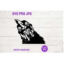 Angry Chicken Face Peeking SVG PNG JPG Clipart Digital Cut File Download for Cricut Silhouette Sublimation Printable Art