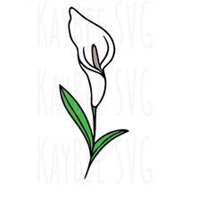 Calla Lily Flower SVG PNG JPG Clipart Digital Cut File Download for Cricut Silhouette Sublimation Printable Art - Person