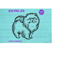 Pomeranian Dog SVG PNG JPG Clipart Digital Cut File Download for Cricut Silhouette Sublimation Printable Art - Personal