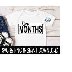 Ten Months Baby SvG, 10 Month Baby PNG, Month Milestone Baby Bodysuit SVG, Instant Download, Cricut Cut Files, Silhouett