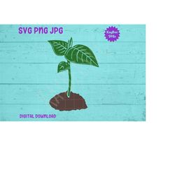 Seedling Tree Sapling SVG PNG JPG Clipart Digital Cut File Download for Cricut Silhouette Sublimation Printable Art - Pe