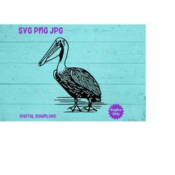Pelican Bird SVG PNG JPG Clipart Digital Cut File Download for Cricut Silhouette Sublimation Printable Art - Personal Us