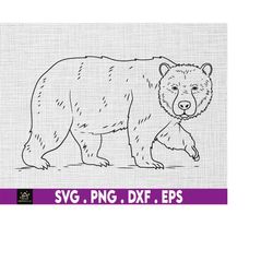 bear outline svg, instant digital download files included!