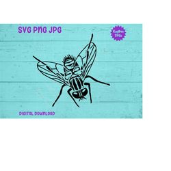 House Fly SVG PNG JPG Clipart Digital Cut File Download for Cricut Silhouette Sublimation Printable Art - Personal Use O