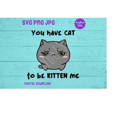 You Have Cat To Be Kitten Me SVG PNG Clipart Digital Cut File Download for Cricut Silhouette Sublimation Printable Art -