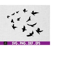 Flock of Birds svg, Flying Birds svg, Instant Digital Download files included