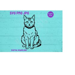 Tabby Cat Sitting SVG PNG JPG Clipart Digital Cut File Download for Cricut Silhouette Sublimation Printable Art - Person