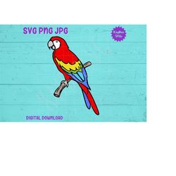 Scarlet Macaw Parrot Bird SVG PNG JPG Clipart Digital Cut File Download for Cricut Silhouette Sublimation Printable Art