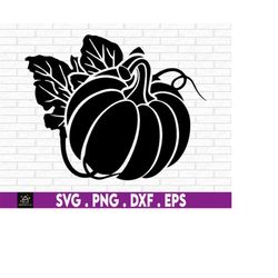 Pumpkin svg, Instant Digital Download files included, Fall, Halloween, Autumn
