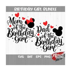 Birthday Girl SVG Bundle, 3 Matching Shirts Svg, Magic Mouse Svg, Magical Castle Svg, Family Trip Svg, Mouse Ears Svg, D
