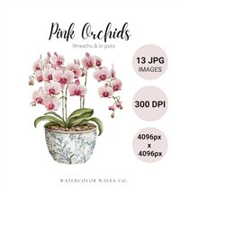 Pink Orchids Clipart Bundle | Watercolor Spring Flowers JPG | Floral Junk Journal | Wedding Invitation | Digital Planner