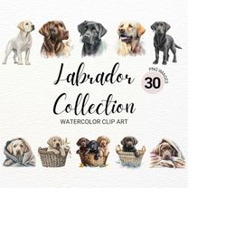 Labrador Retriever Puppies Clipart Collection | Black Lab PNG | Black Labrador Clipart | Cute Dog Clipart | Dog PNG | Do