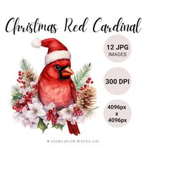 Red Cardinal JPG | Watercolor Christmas Bird | Cardinal Clipart | Junk Journal | Collage Images | Digital Paper Craft