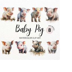 Baby Pig Clipart | Piglet PNG | Cute Pig | Baby Animals Prints | Farm Animals Clipart | Watercolor Pig | Commercial Lice
