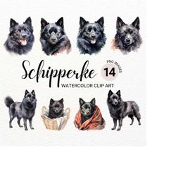 Schipperke Dog Clipart | Watercolor Dog PNG | Dog Portrait | Puppy Collage Images | Junk Journal | Digital Planner | Pap