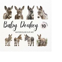 Baby Donkey PNG | Baby Animals | Farm Animals PNG | Cute Donkey | Nursery Wall Art |  Farm PNG | Watercolor Animals Clip