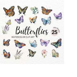 Monarch Butterfly Clipart | Watercolor Butterfly PNG | Floral Clipart | Summer Clipart | Butterfly Painting | Lavender P