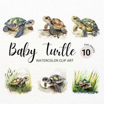 baby turtle clipart | watercolor turtle png | baby animals | farm animals png | cute turtle | nursery wall art | waterco