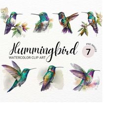 Hummingbird PNG | Humming Bird Watercolor Bird Clipart | Cute Colorful Bird PNG | Nursery Decor | Baby Shower Clipart |