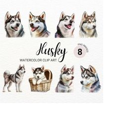Siberian Husky Clipart | Husky Dog PNG | Watercolor Dog Portrait | Cute Dog Clipart | Puppies Clipart | Commercial Licen