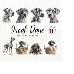 Great Dane Clipart | Dog PNG | Watercolor Dog Clipart | Dog Portrait | Great Dane Dog | Puppy Images | Nursery Wall Art