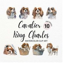 Cavalier King Charles Clipart | Cute Dog Clipart | Dog PNG | Watercolor Dog Portrait | Puppies Clipart | Watercolor Clip