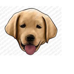 Hand Drawn Labrador Head PNG Sublimation Design, Hand Drawn Dog, Labrador Clipart, Cute Labrador Png, Cute Dog Png, Dog