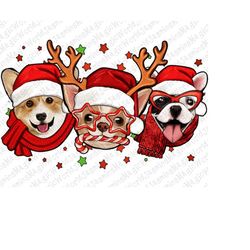 Christmas dogs Corgi Chihuahua Frenchie png sublimate designs download, Christmas Png, Christmas dogs png, sublimate des