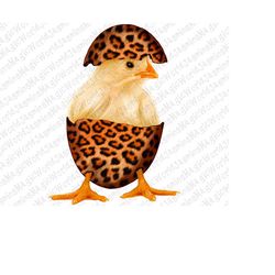 Leopard Chick Png, Chick png, Leopard Crack Egg png, Southern Chick,Western Chick png, Sublimation Design,Digital Downlo
