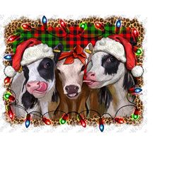 Christmas Heifers Png Sublimation Design , Christmas Animals Png, Christmas Heifers Png, Western Christmas Png, Merry Ch
