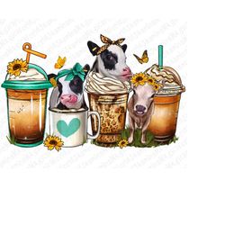 Heifers coffee cups png sublimation design download, coffee cups png, Cow coffee cups png, western heifers png, sublimat