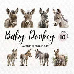 Baby Donkey PNG | Baby Animals | Farm Animals PNG | Cute Donkey | Nursery Wall Art |  Farm PNG | Watercolor Animals Clip