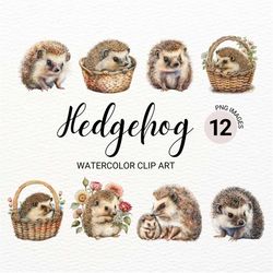 Mom and Baby Hedgehog Clipart | Watercolor Hedgehog PNG | Nursery Wall Art | Animal Clipart | Kawaii Clipart | Cute Hedg