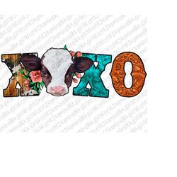 Xoxo Valentines Day Baby Cow Png, Valentines Baby Cow Png, Xoxo Love Png,Valentines Png Sublimation Design,Western Xoxo