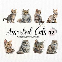 Cat Breeds PNG | Watercolor Cats Clipart Bundle | Cute Pet Portrait | Kitten PNG | Junk Journal | Digital Planner | Coll