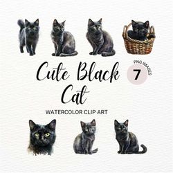 Watercolor Black Cat Clipart | Cute Black Kitten PNG | Watercolor Animals Clipart | Pet Clipart | Transparent Background