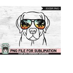 Dog Sunglasses SUBLIMATION designs png, Labrador Retriever png, Sunset Sunglasses PNG file, Palm Tree glasses, Beach Vac