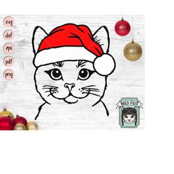 cat santa hat svg file, cat with hat svg, christmas svg file, cat svg, christmas cut file, christmas animals svg, animal