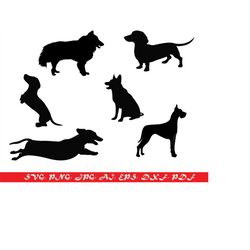 Dog Lover, Dogs Svg, Dog Mom Svg, Dog Quote Svg, Paw Svg, Animal Svg, Svg Files For Cricut, Cricut Svg