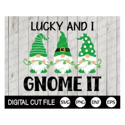 St Patricks Day Svg, Gnome Svg, Lucky and I gnome it, Shamrock, Clover Svg, Gnome Holds Clover,  Svg Files For Cricut, S