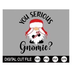 Christmas Gnome SVG, You Serious Gnome Svg, Christmas SVG, Gnome Svg, Holiday Gnomie, Christmas Gift, Christmas Shirt, S