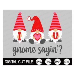 Valentine Gnome SVG, Gnome saying SVG, Valentines Day, Gnomes Png, Hearts, Gnome Cut file, Kids Valentine Shirt Gift, Sv