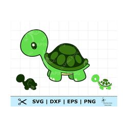 turtle svg. cricut cut files, silhouette. dxf, png, eps. baby turtle clipart.  cartoon turtle download. green turtle svg