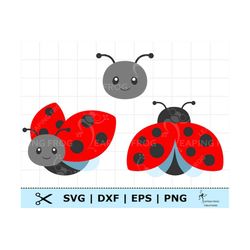 Cute Ladybug SVG. Ladybug set svg. PNG DXF. eps. Cricut cut files, layered files. Silhouette. Ladybug png. Lady bug dxf.